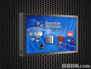 萤火虫制作公司 多媒体设计服务点亮创意世界